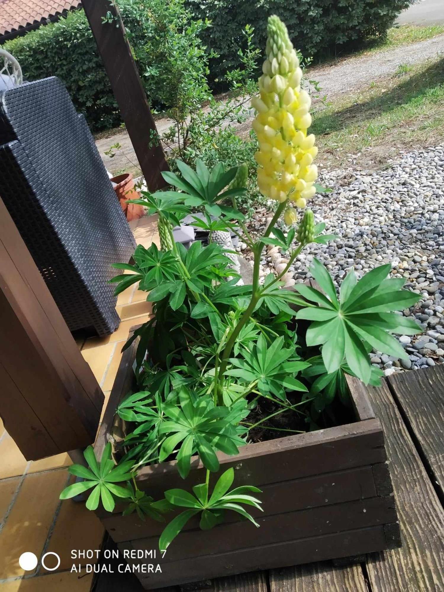 Chalet Camping Les Vignes ลิต์-เอต์-มิกซ์ ภายนอก รูปภาพ
